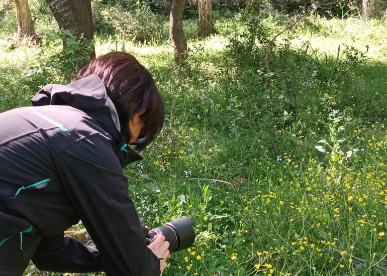 mini sessioni fotografiche gratuite