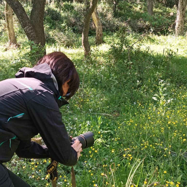 mini sessioni fotografiche gratuite